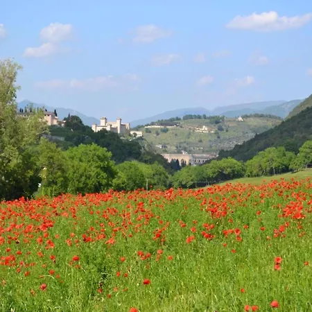 Scenic Stay In Spoleto 度假居 斯波莱托