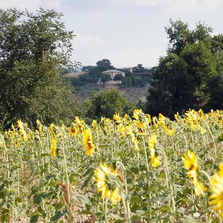 Scenic Stay In Spoleto 度假居 *